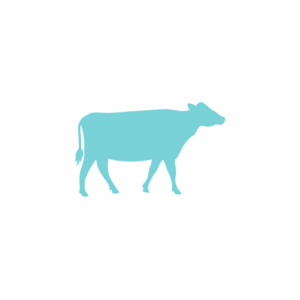 bovine-icon