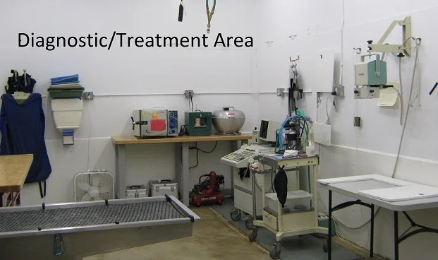 Diagnostic Treatment Area