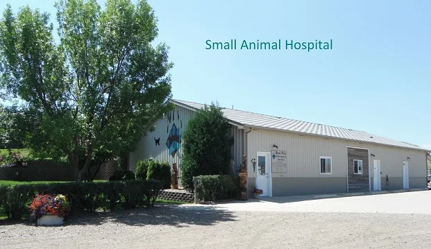 small-animal-hospital